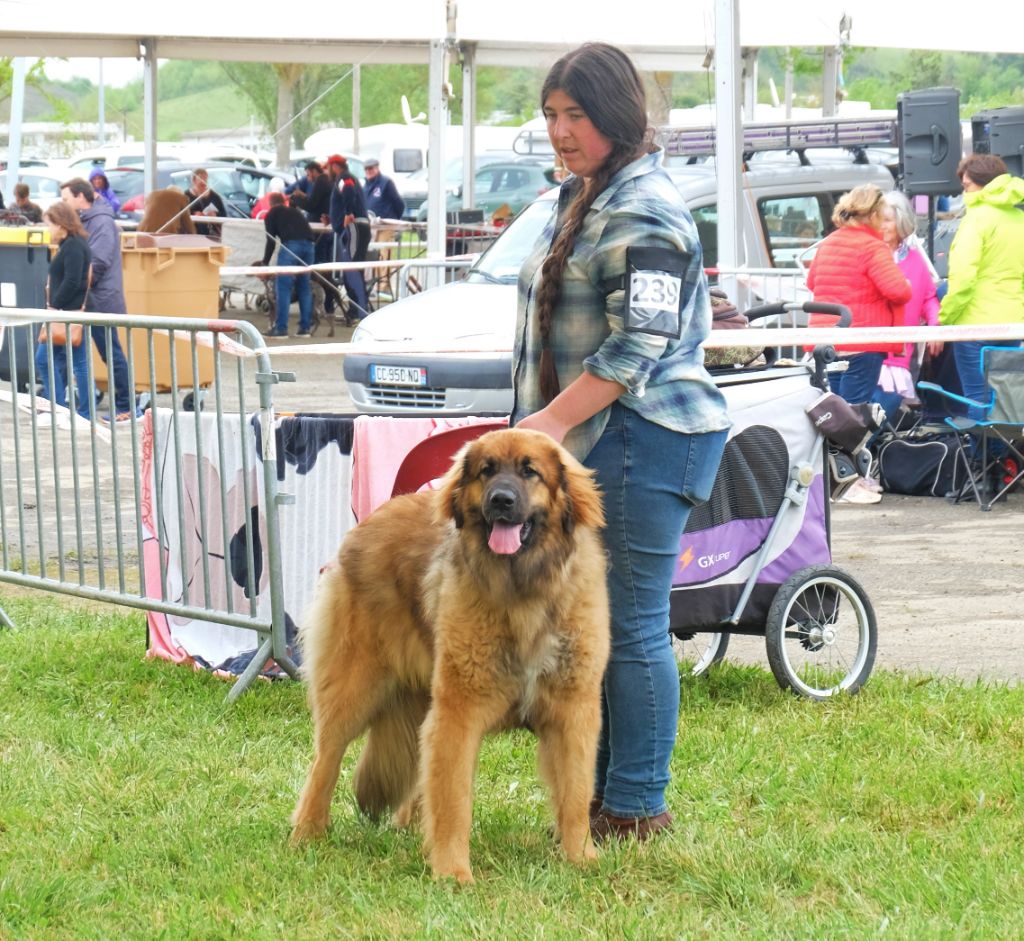 Toundra achak Des Bergers Beotiens